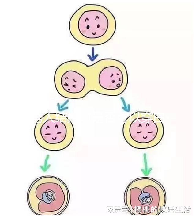 男人結(jié)婚時(shí)是否可以穿白色鞋子和白色西裝進(jìn)行分析,看看對(duì)誰不利