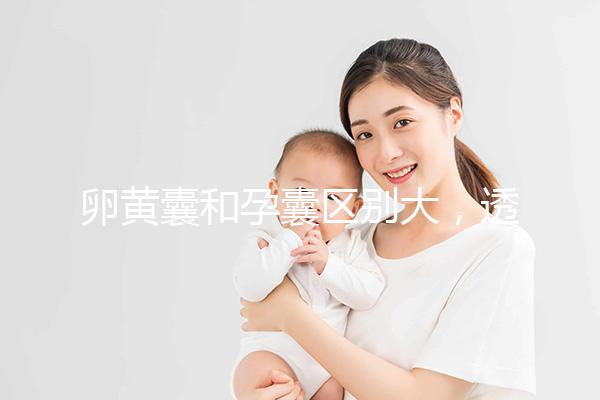 卵黃囊和孕囊區別大，透過B超首次為你揭露其形狀