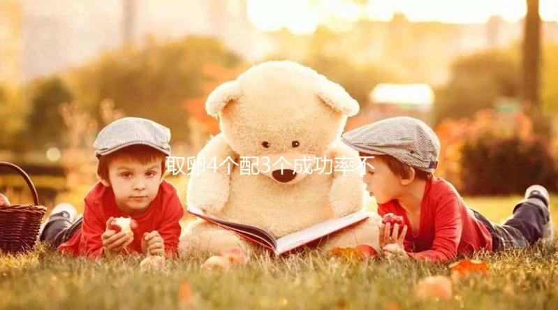 取卵4個配3個成功率不低,養(yǎng)出優(yōu)質(zhì)胚胎做試管好孕機會更大