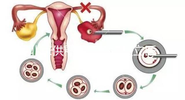 北京供精人工授精私立醫院排名表來了!哪個好看就知道了?