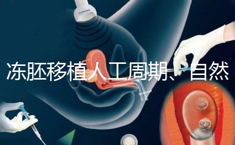 凍胚移植人工周期、自然周期怎么選？哪個成功率高？
