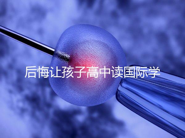 后悔讓孩子高中讀國際學校4大理由，行動前學籍咋辦要弄清