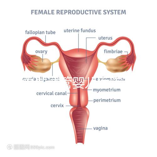 國內做試管嬰兒醫院有哪些？附全國十大試管醫院排名