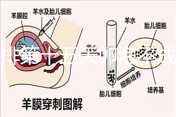 促排第十五天卵泡不成熟還可以治療！1.2等幾天就能長大