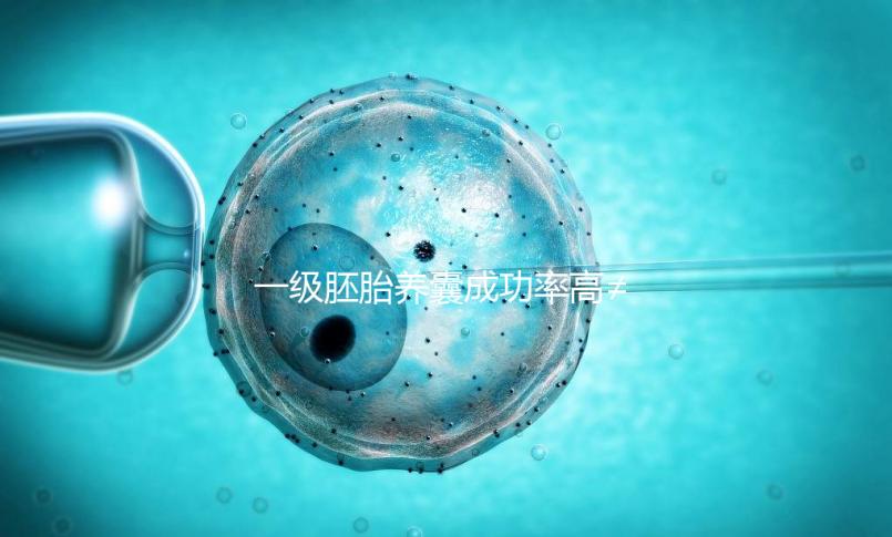 一級胚胎養(yǎng)囊成功率高≠零失敗,染色體異常是主要原因