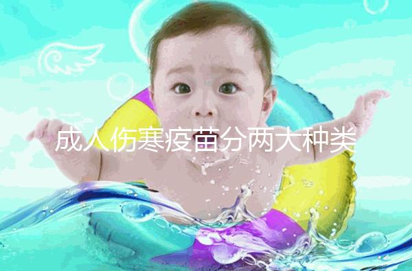 成人傷寒疫苗分兩大種類，選擇使用口服還是注射都不錯