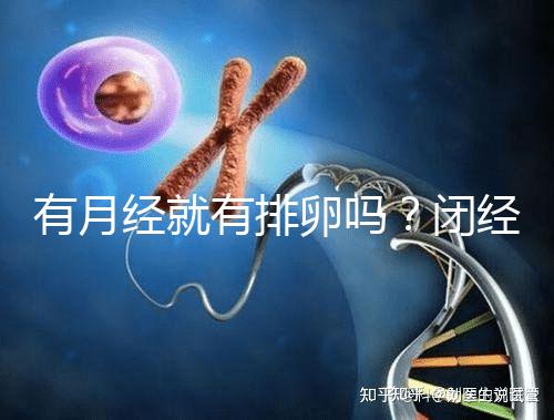 有月經就有排卵嗎?閉經、絕經還能做試管嬰兒嗎?
