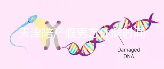 天津陪產假男方休假時間2024已揭曉,是否含周末統(tǒng)一回復