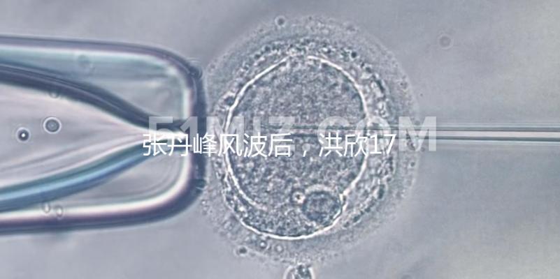 張丹峰風波后，洪欣17歲兒子表白媽媽一家人疑似和好如初