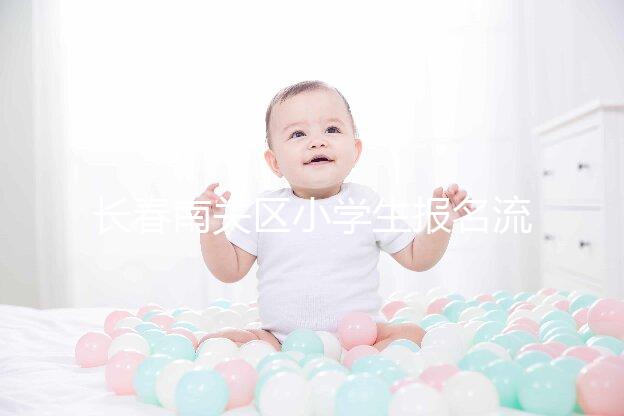 長春南關區小學生報名流程2024年，步驟和時間都有