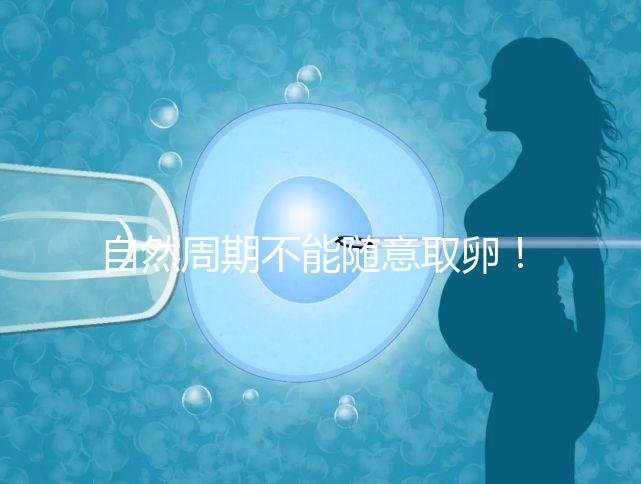 自然周期不能隨意取卵！滿(mǎn)足3點(diǎn)要求才能順利進(jìn)行