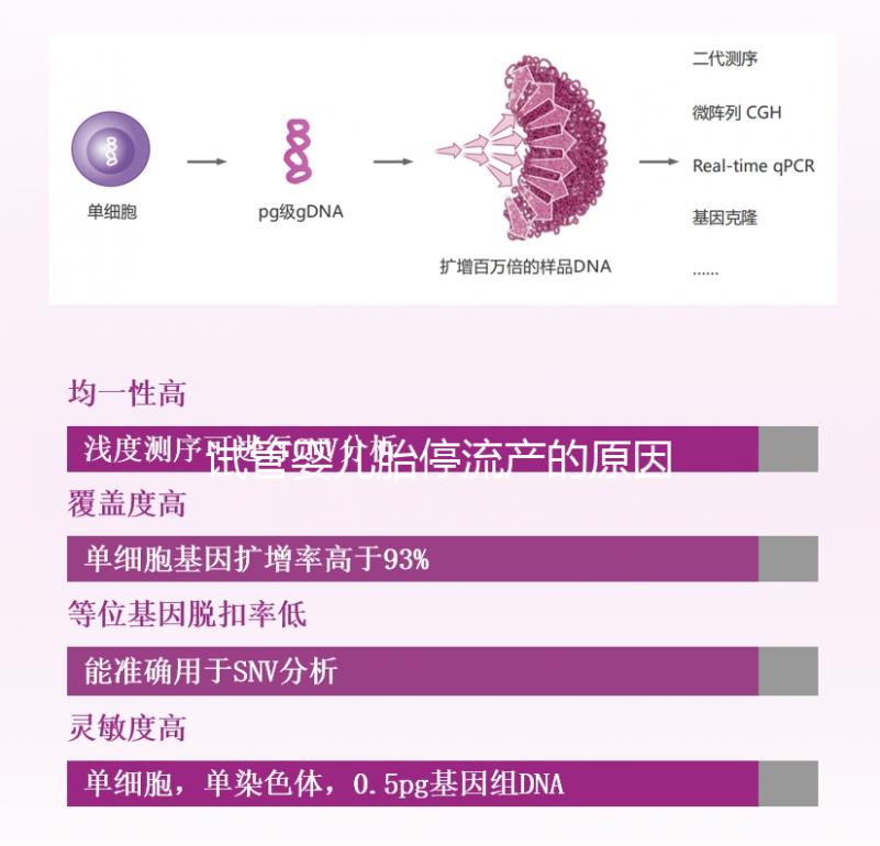 試管嬰兒胎停流產的原因剖析,胎停育與胎停孕大不同