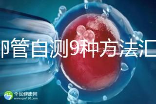 輸卵管自測9種方法匯總,試紙+晨尿怎么用最準(zhǔn)有竅門