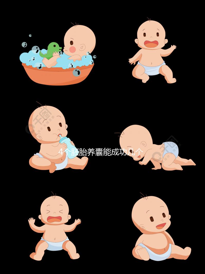 4個(gè)胚胎養(yǎng)囊能成功幾個(gè)看這,原來(lái)成功率和這3點(diǎn)相關(guān)