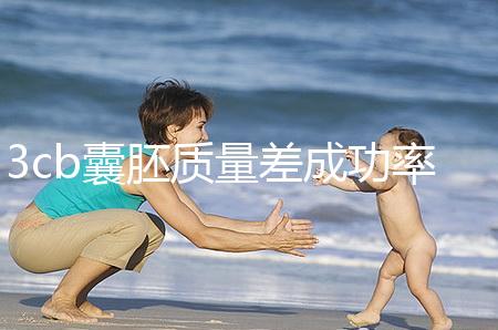 3cb囊胚質(zhì)量差成功率低?醫(yī)生:移植后"好孕"天天有