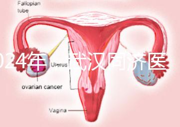 2024年，武漢同濟醫院不孕癥醫生排名公布，選擇專家迅速登記