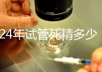 2024年試管死精多少錢？報(bào)銷政策和費(fèi)用都有