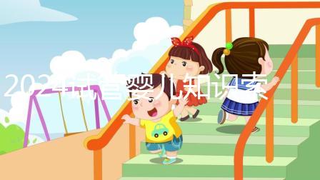 2024試管嬰兒知識索引:卵泡破裂的原因、癥狀和排卵的區別